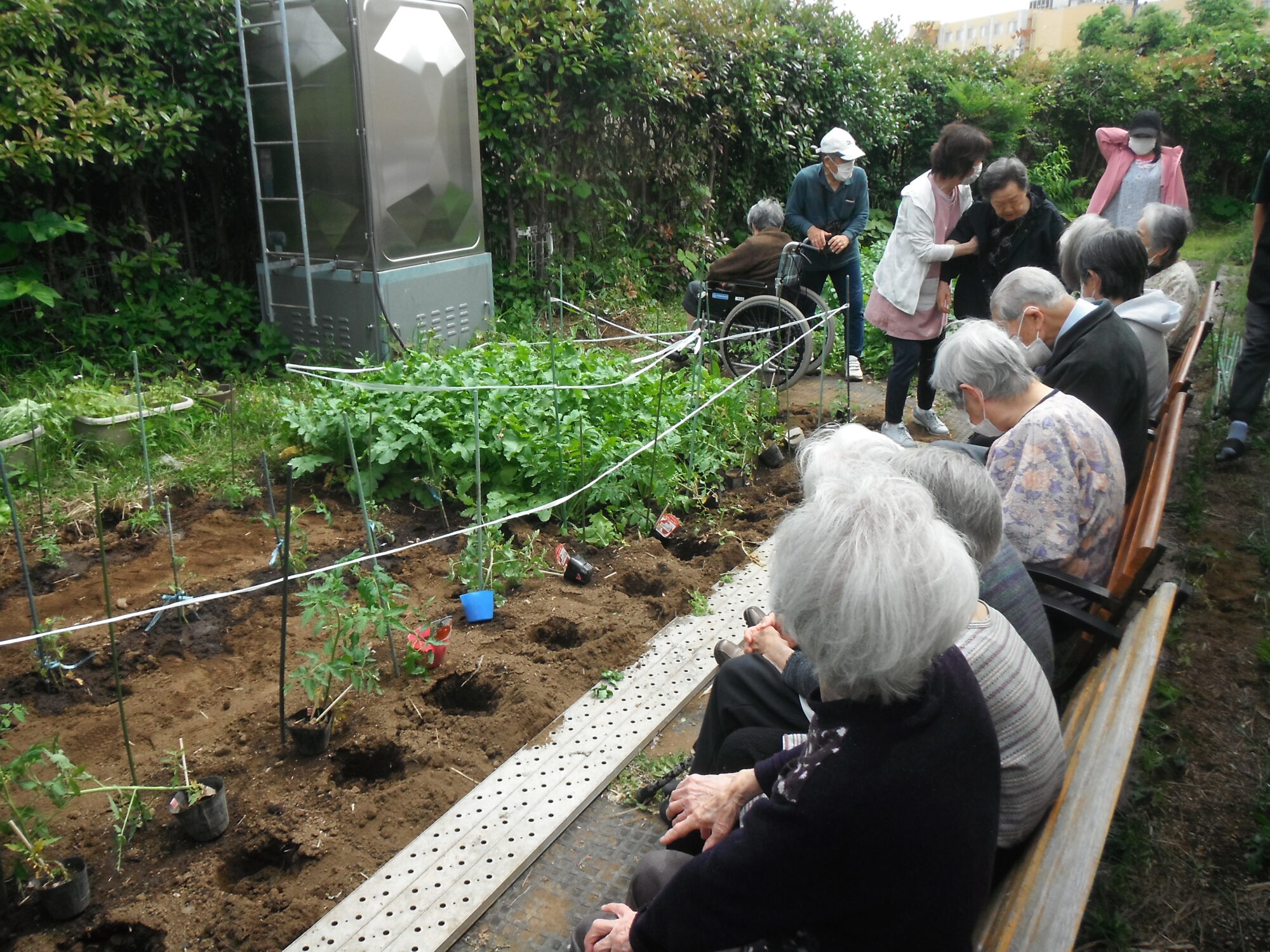 夏野菜の苗植え | 社会福祉法人豊笑会