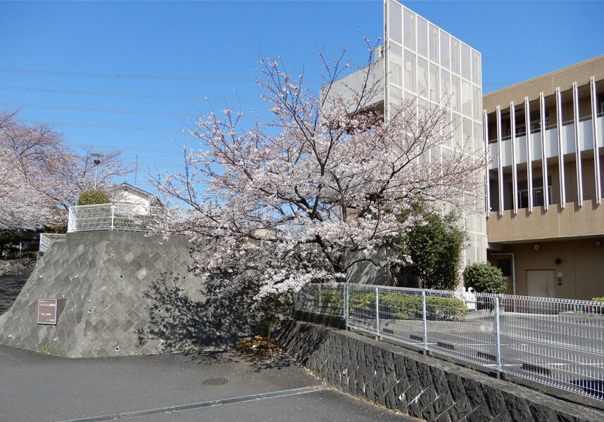 hills-maioka