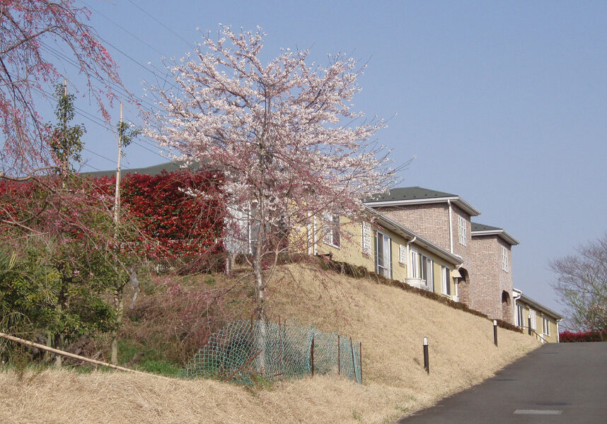 yayoidai